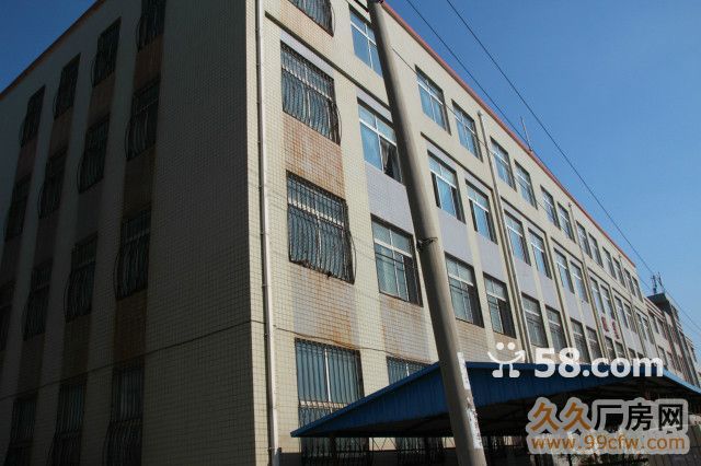 金州服裝廠房出租  6條生產線-圖(3)