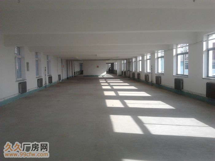 普蘭店5400M2廠房租售-圖(2)