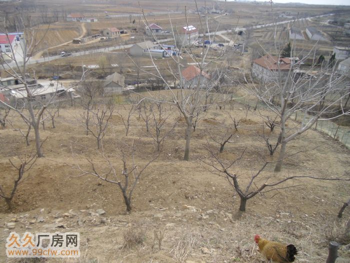 最具動遷實力的土地出讓。有能力投資的來看看-圖（2）