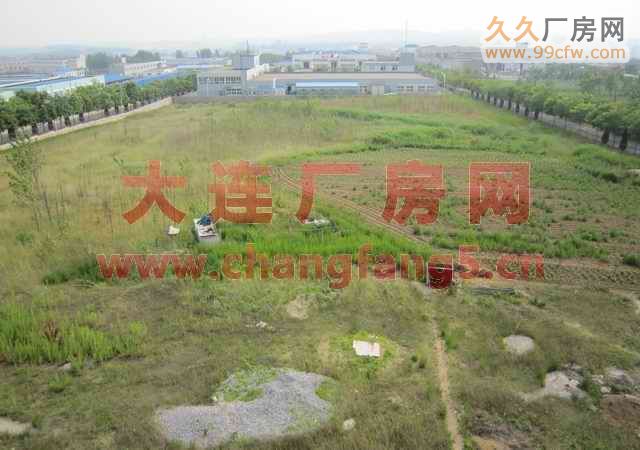 保稅區亮甲店工業區新廠房場地出租-圖(8)