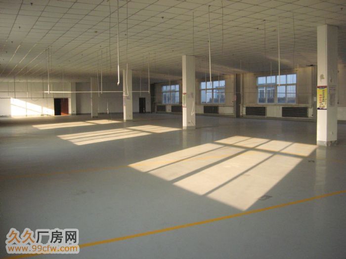 大型廠房出租適合服裝加工-圖（4）
