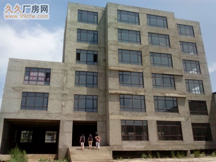 鋼結構和標準廠房出租-圖(2)