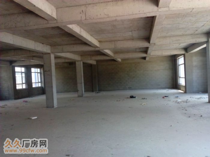 鋼結構和標準廠房出租-圖(6)
