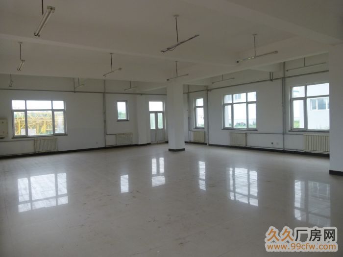 (整體出售)大連金普新區(qū)廠房出售【占地近4萬平】-圖（3）