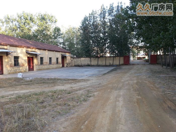 204國道旁優質廠房場地出租-圖(1)