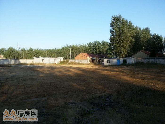 204國道旁優質廠房場地出租-圖(3)