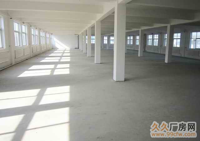 后鹽沈大高速口北側1公里處廠房出租-圖(4)