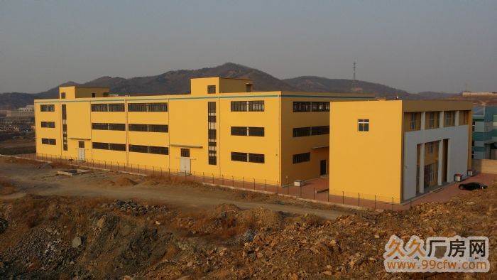 金州新區青山村全新廠房出售-圖(3)