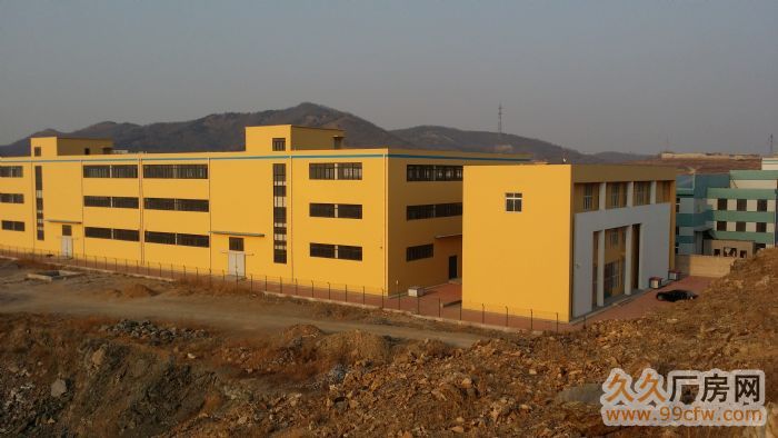 金州新區青山村全新廠房出售-圖(4)