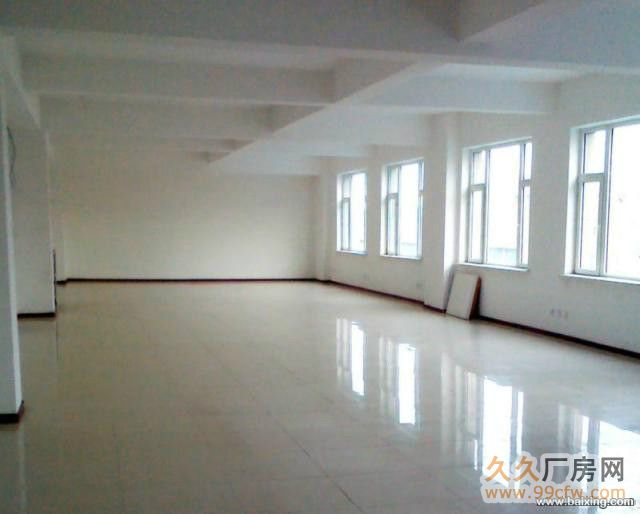 高新區精裝個人獨院廠房出租出售-圖(4)