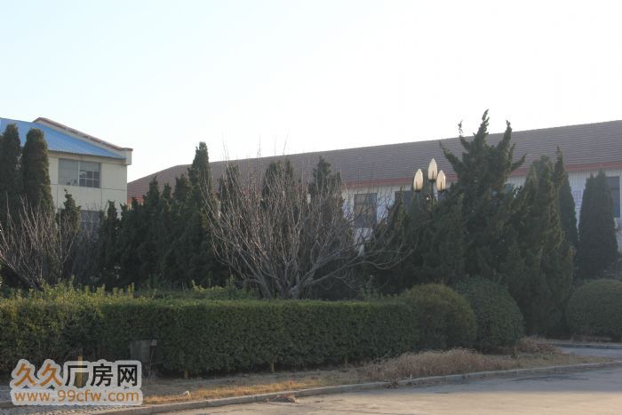 旅順北路附近5600平標(biāo)準(zhǔn)老廠房出租,轉(zhuǎn)混結(jié)構(gòu)-圖（6）