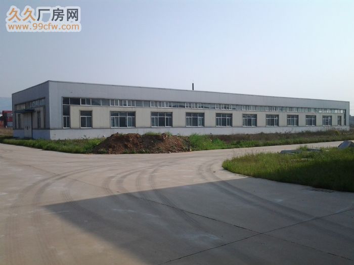 連云開發區54000㎡大型標準廠房招租-圖(7)