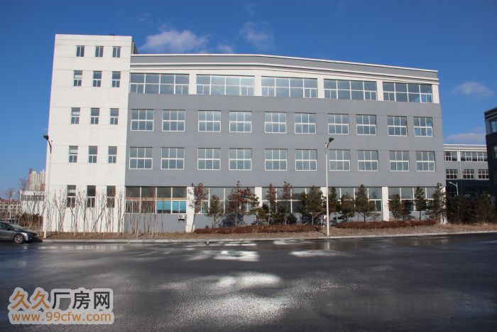【6图】沈阳浑南国际新兴产业园区1000平250