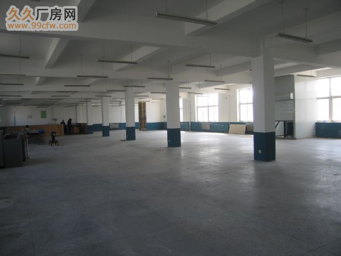 辛寨子4.2米高標準輕工業廠房出租-圖(1)
