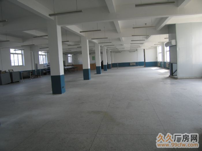 辛寨子4.2米高標準輕工業廠房出租-圖(3)