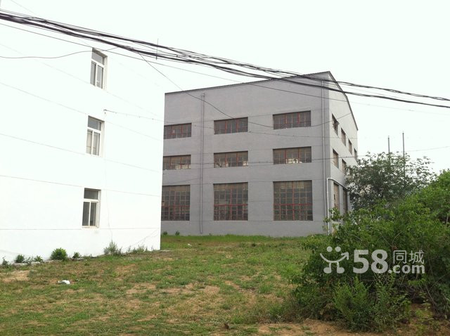 (出租)金州區標準鋼結構廠房-圖(4)