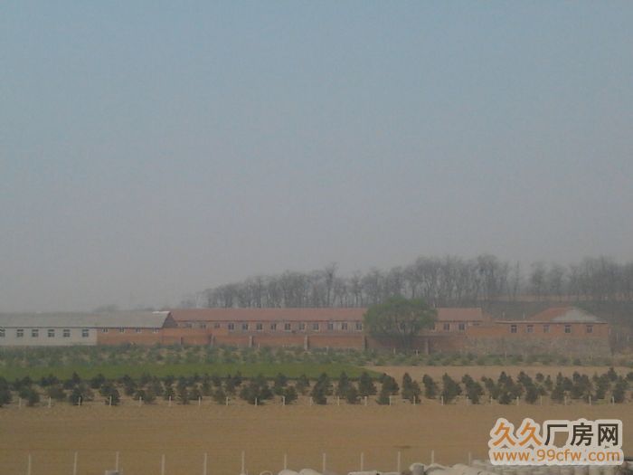 國有土地證工業用地廠房租售-圖(5)