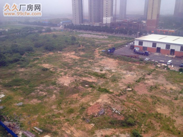 出租保稅區汽車碼頭辦公樓及廠房-圖(2)