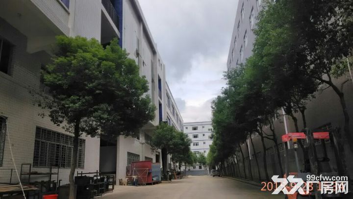 南安市大霞美人口_南安市霞美中心小学(2)