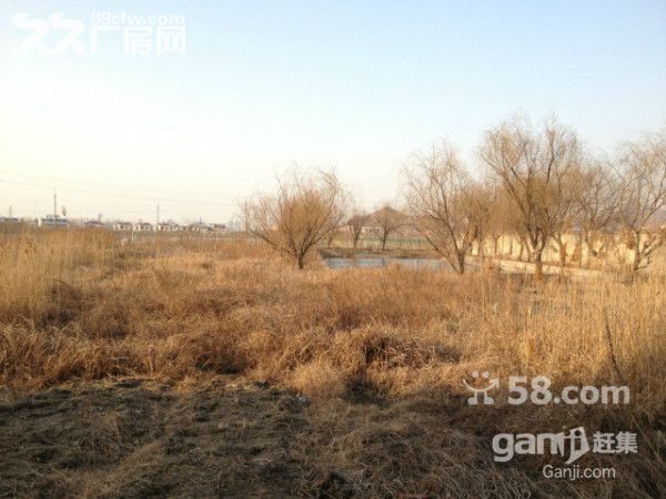 廠區場地招租!招商!-圖(5)