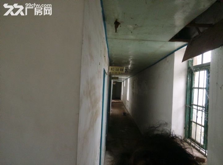 金州區華家鎮400平廠房出售-圖(4)