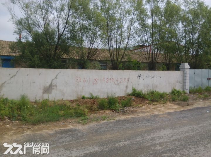 金州區華家鎮400平廠房出售-圖(8)
