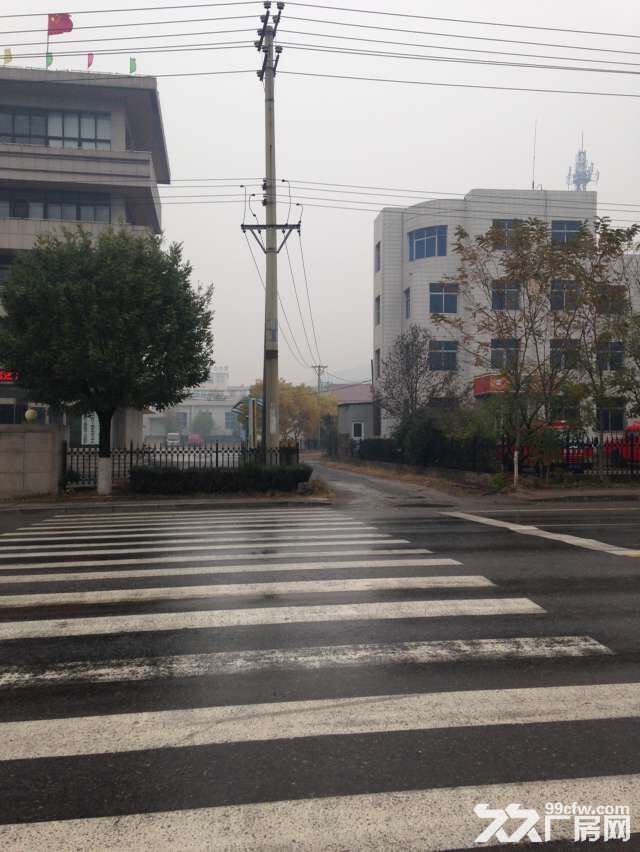 大魏家政府后身2萬平米獨立廠房出租-圖(5)
