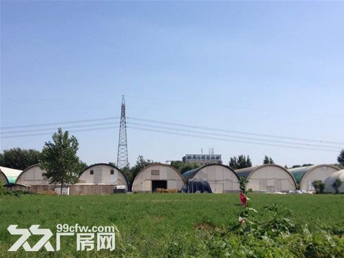 便宜出租或合作京津塘高速廊坊出口100米工業土地、廠房、庫房-圖（5）