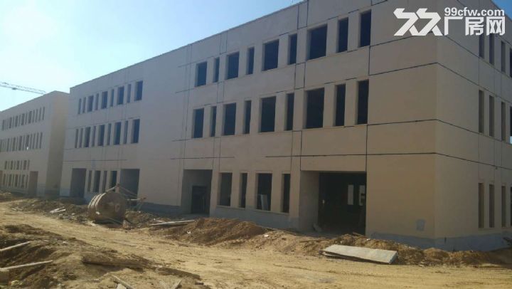 金州新區核心區工業區新建工業廠房出售-圖(1)