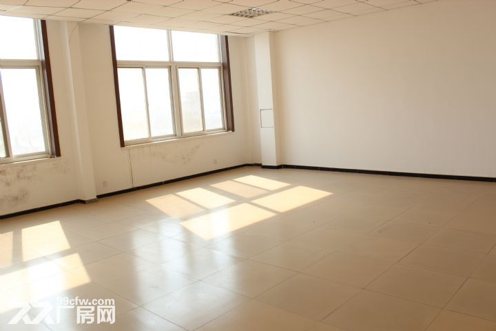 出租金州石河高速口附近大廠房-圖（3）