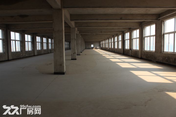 出租金州石河高速口附近大廠房-圖（5）