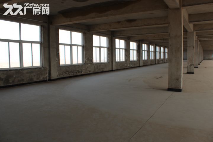 出租金州石河高速口附近大廠房-圖（6）
