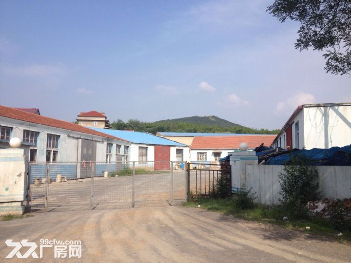 金普新區中心地段廠庫房出售，可租轉售-圖（3）