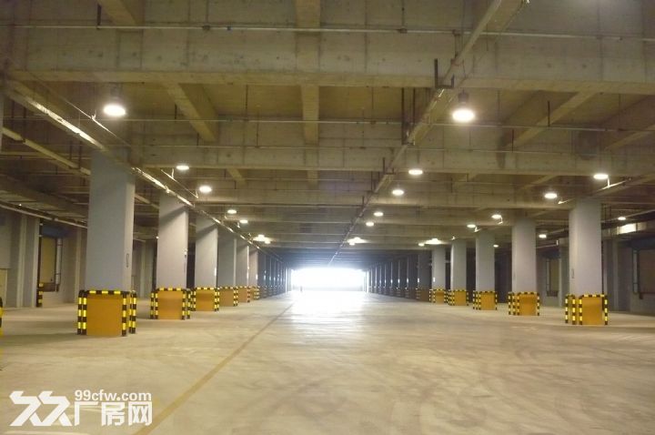 （保稅區(qū)）開發(fā)區(qū)高標(biāo)準(zhǔn)廠房庫房出租-圖（3）