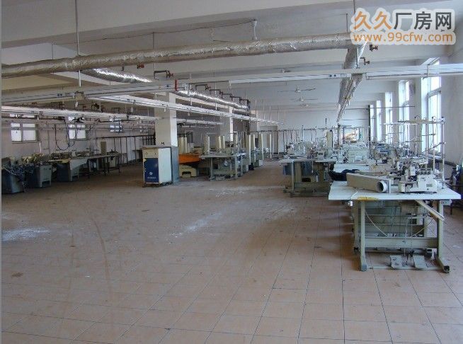 甘區姚北路輕工業廠房500?1000平-圖(3)