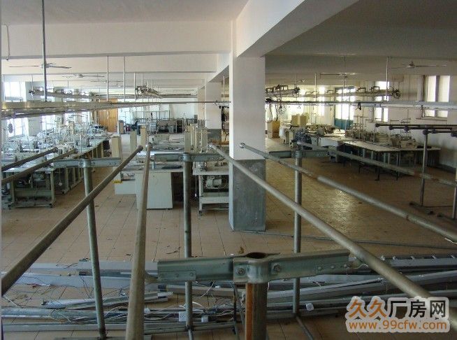 甘區姚北路輕工業廠房500?1000平-圖(4)