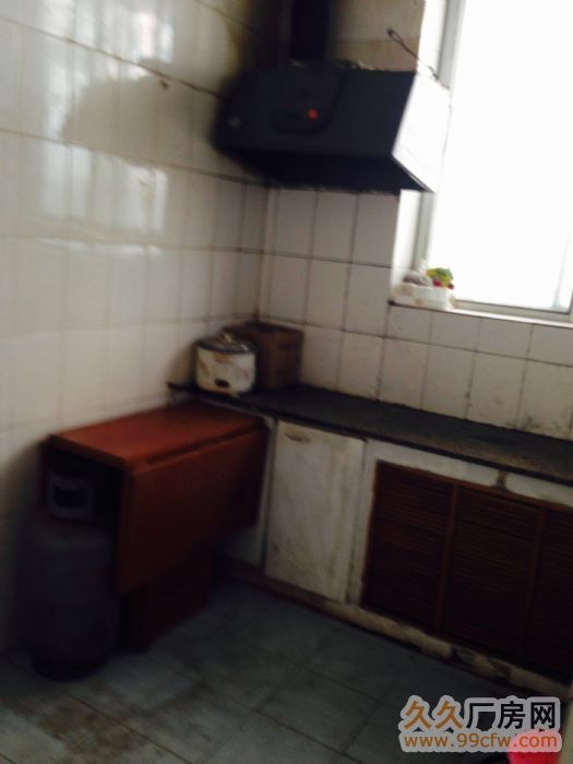 郭東街11號樓 商住兩用一樓出租-圖（6）