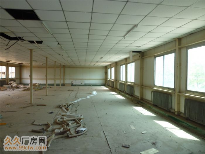 出租廠房大連金州新區友誼街道龍王廟村廠房-圖（5）