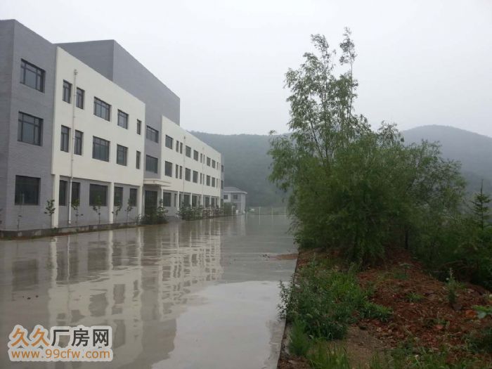 全新廠房優惠出租適合廣泛行業-圖(3)