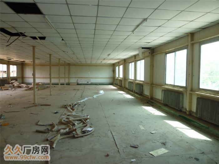 大連金州區(qū)友誼街道龍王廟村廠房-圖（7）