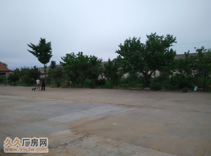 大連大學附近廠房出租-圖(4)