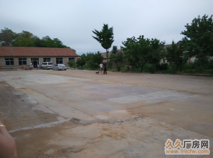 大連大學附近廠房出租-圖(5)