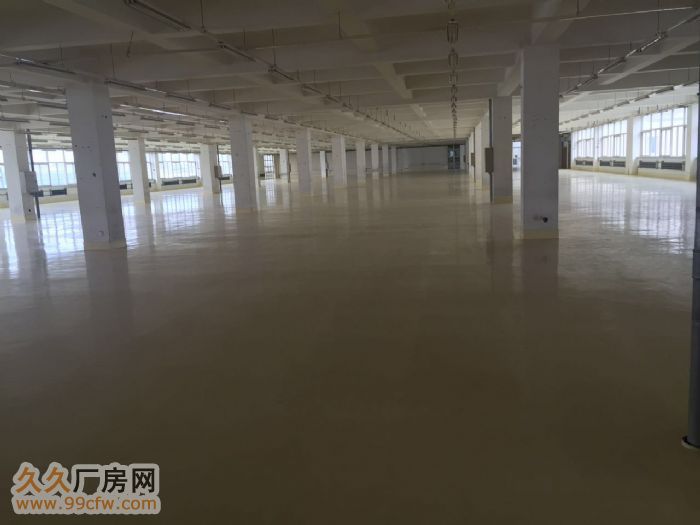 新建廠房、倉儲物流庫房出租,面積1600-100-圖(3)