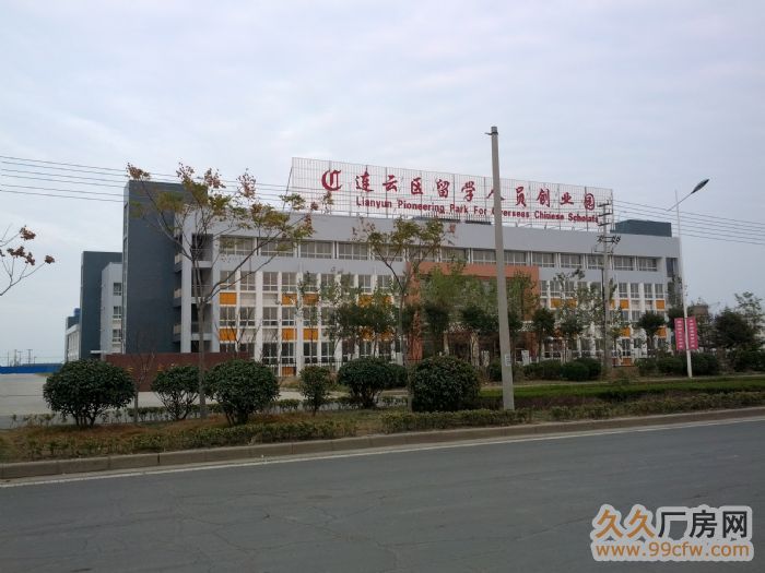 連云區大型工業園區對外底價轉讓-圖(4)