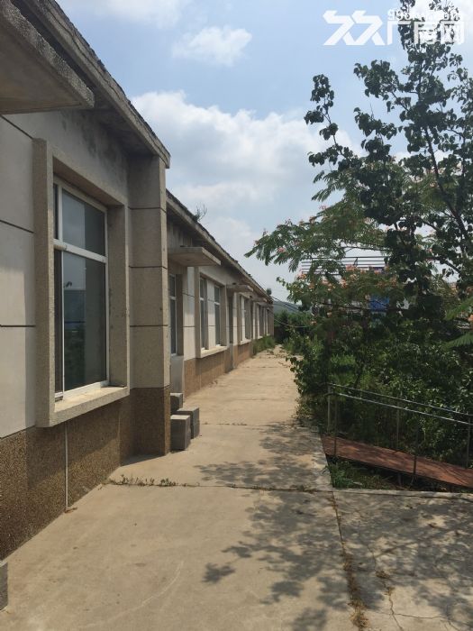 不來看看定會后悔?普灣新區石河鎮果園山莊式工廠租/-圖（3）