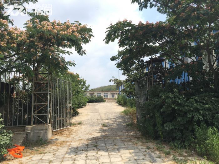 不來看看定會后悔?普灣新區石河鎮果園山莊式工廠租/-圖（6）