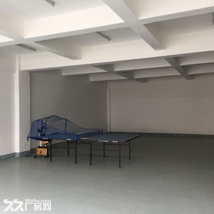 標準廠房,配套齊全,低價出租-圖(2)