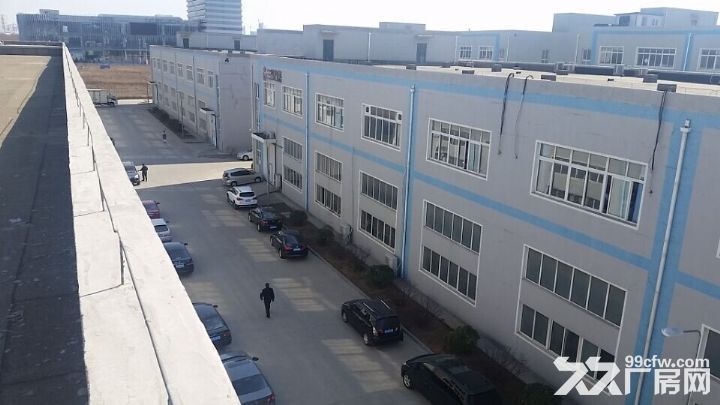 保稅區(qū)南門東側(cè)豐匯工業(yè)園廠房出租-圖(4)