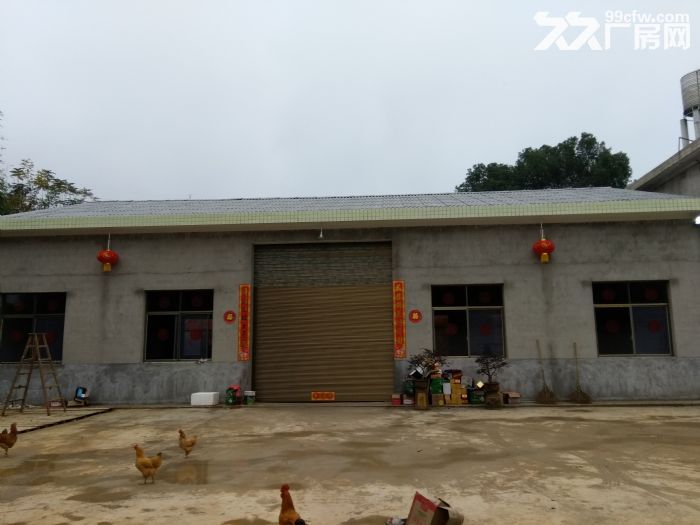 个人出租68长沙县安沙毛塘铺标准有证厂房68前坪
