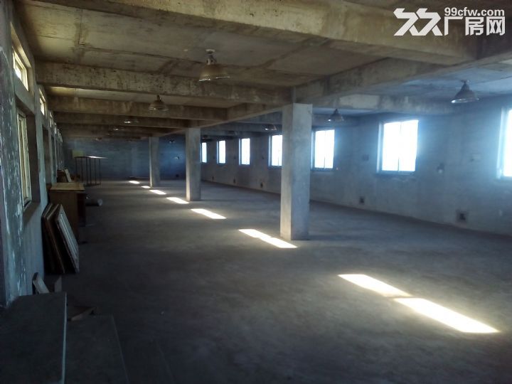 出租姚家工業區廠房900平,可分440平、460平-圖(5)